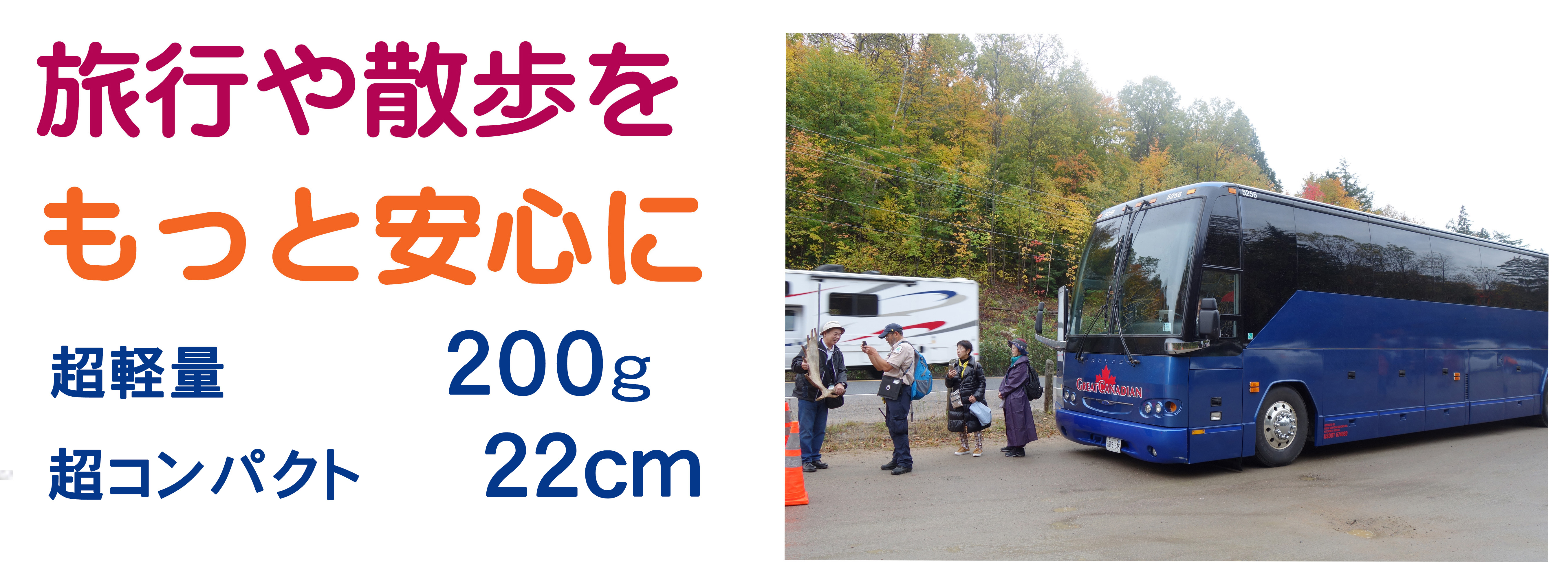 パナステッキ